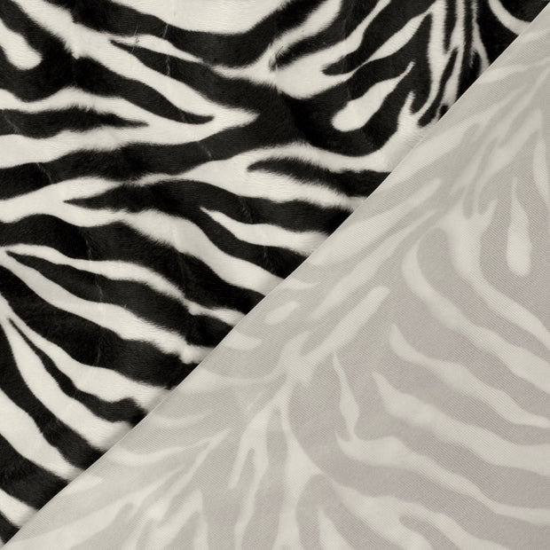 Velours fabric Zebras printed 