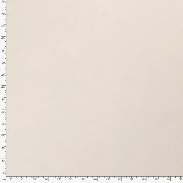 Jersey de Coton tissu Unicolore Ivory