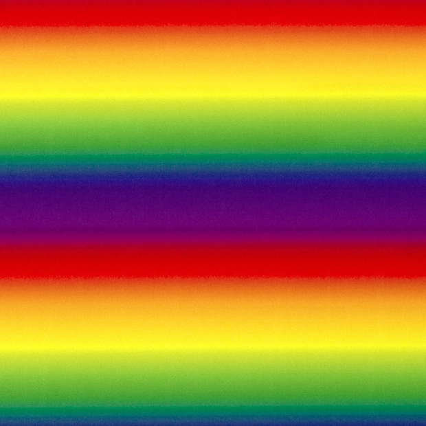 Polyester Jersey fabric Rainbow Red