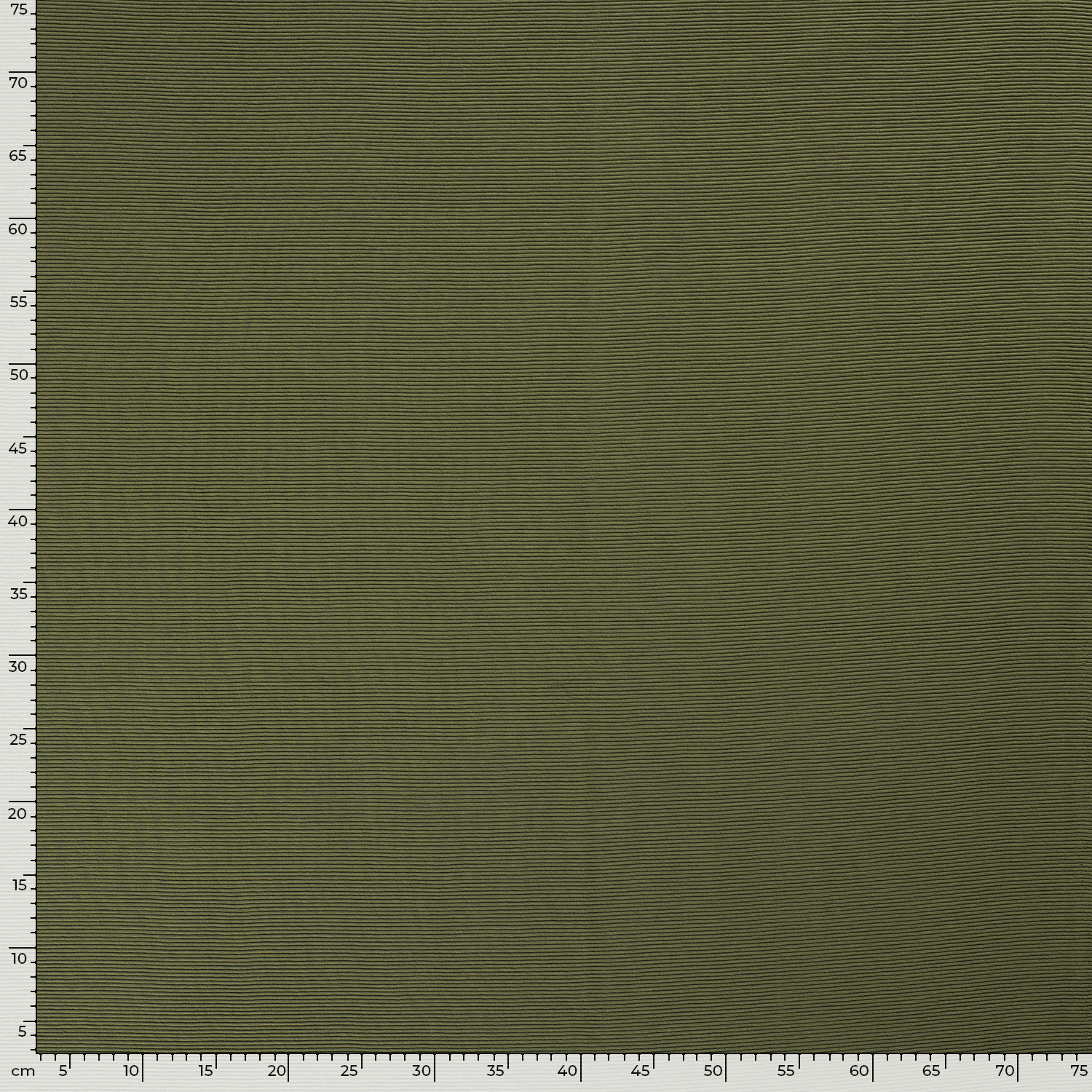 Rib Jersey fabric Unicolour Forest Green