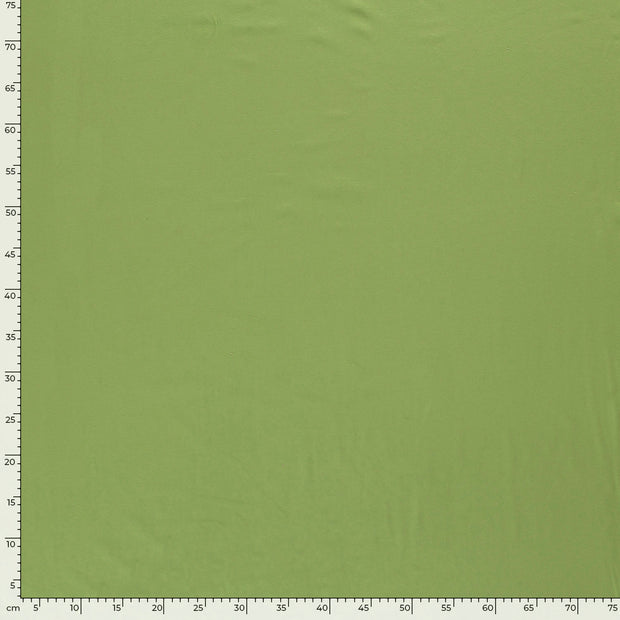 Cotton Jersey fabric Unicolour Apple Green